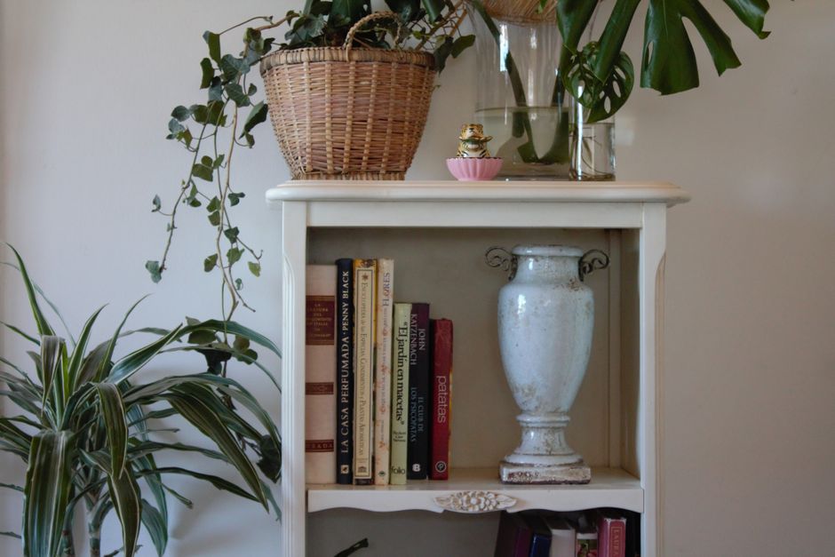Gestylede boekenkast met planten en decoratie