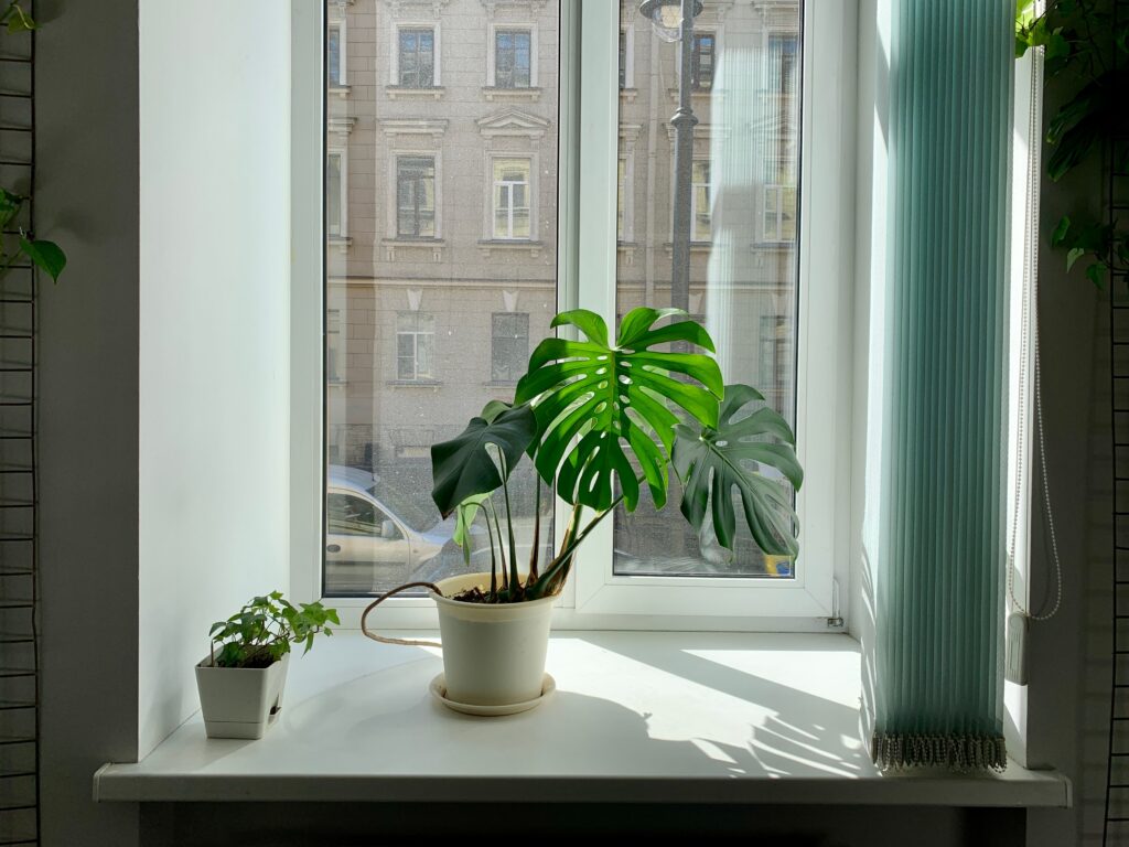vensterbank decoratie voor groot raam — Vensterbank decoratie voor een groot raam: 10 goede ideeën