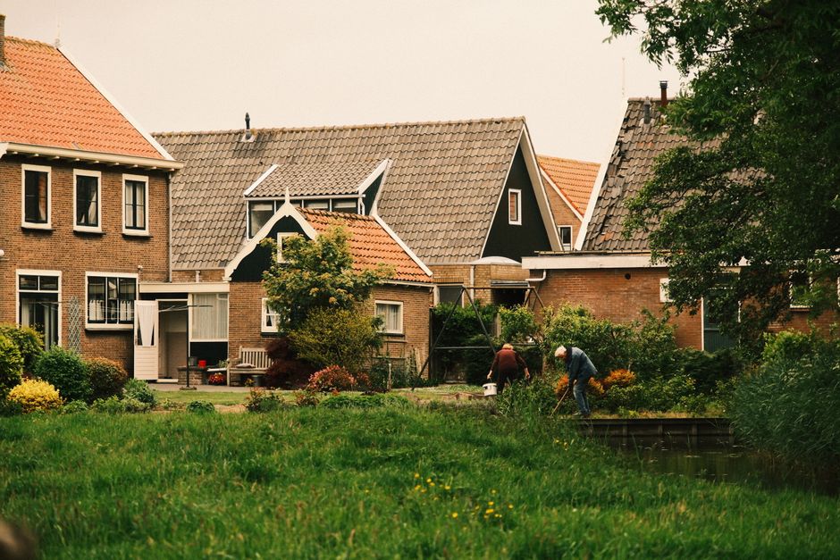 gazon vergeeld — afbeelding 3