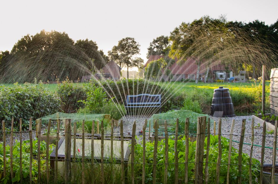 moestuin beginnen — afbeelding 2