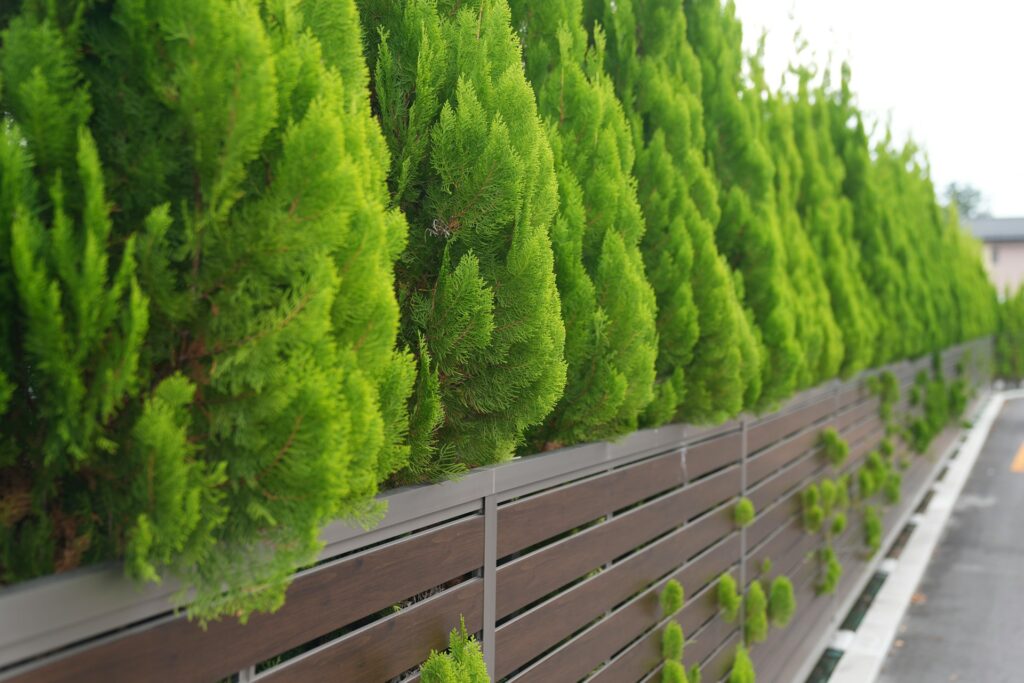 5 manieren om je tuin privacy te geven zonder een hoge muur