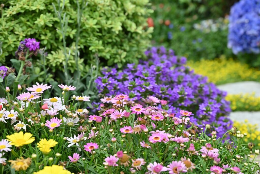 Tips voor het inrichten van een grote tuin